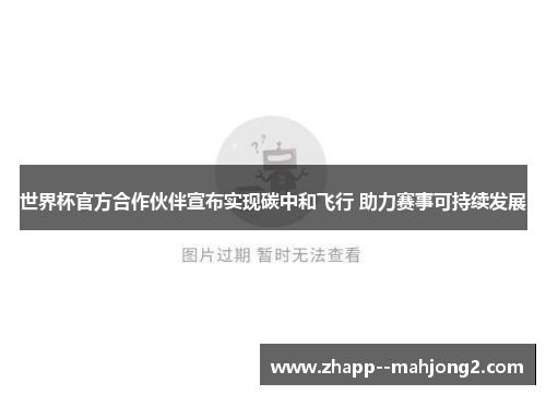 世界杯官方合作伙伴宣布实现碳中和飞行 助力赛事可持续发展 世界杯官方合作伙伴宣布实现碳中和飞行 助力赛事可持续发展