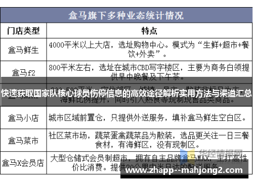 快速获取国家队核心球员伤停信息的高效途径解析实用方法与渠道汇总 快速获取国家队核心球员伤停信息的高效途径解析实用方法与渠道汇总