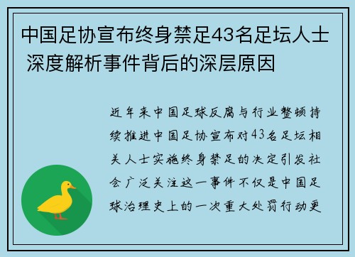 中国足协宣布终身禁足43名足坛人士 深度解析事件背后的深层原因